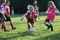 IMG_8571
