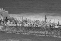 ZIMG_2154