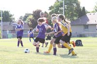 IMG_4788