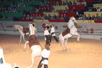 IMG_0903