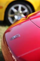 IMG_0973